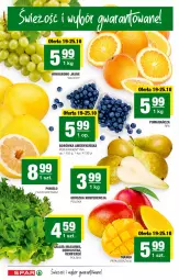Gazetka promocyjna Spar - Spar - Gazetka - ważna od 26.10 do 26.10.2022 - strona 2 - produkty: Borówka, Borówka amerykańska, Pomelo, Renifer, Wino, Mango, LG