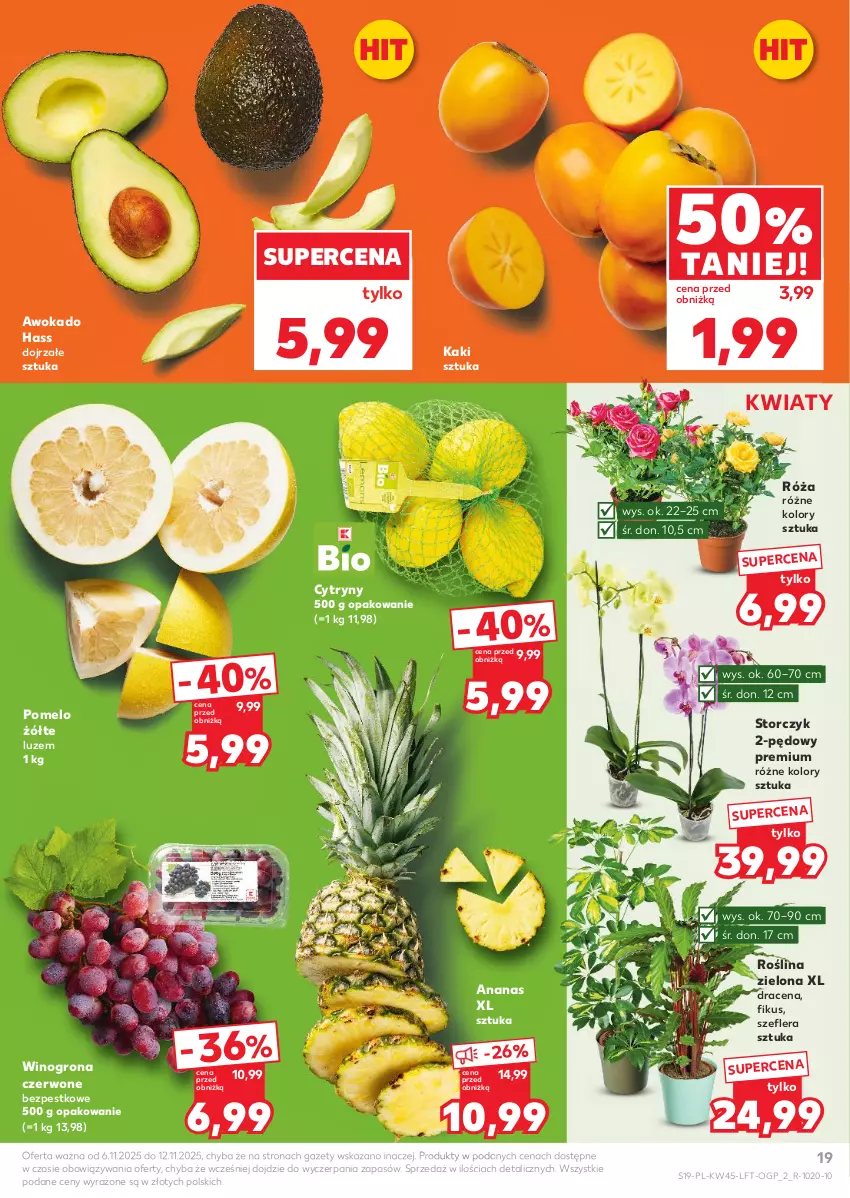 Gazetka promocyjna Kaufland - Gazetka tygodnia - ważna 06.11 do 12.11.2025 - strona 19 - produkty: Ananas, Cytryny, Kaki, Pomelo, Róża, Storczyk, Wino, Winogrona