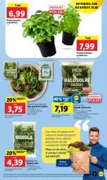Gazetka promocyjna Lidl - GAZETKA - Gazetka - ważna od 10.06 do 10.06.2023 - strona 17 - produkty: Kolendra, Rukola, Bazyl, Bazylia, Lazur