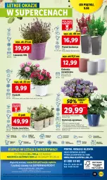 Gazetka promocyjna Lidl - GAZETKA - Gazetka - ważna od 10.06 do 10.06.2023 - strona 41 - produkty: Sok, Por, Gry, Cień, O nas, Mola, Osłonka