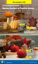 Gazetka promocyjna Lidl - GAZETKA - Gazetka - ważna od 06.09 do 06.09.2025 - strona 28 - produkty: Ivar, Tera