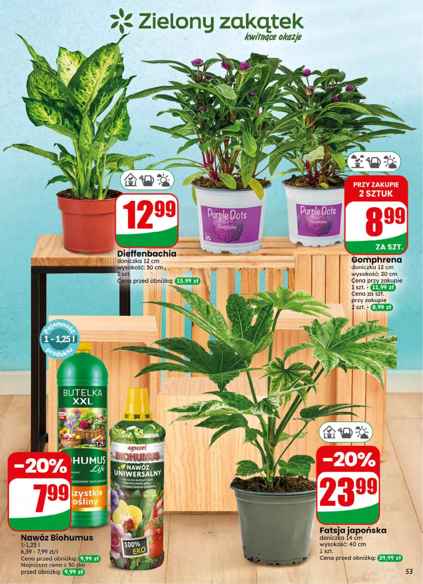 Gazetka promocyjna Dino - Gazetka 32 / 2026 - ważna 05.08 do 11.08.2026 - strona 53 - produkty: Chia, Fa, Nawóz, NBA, Pur, Sok