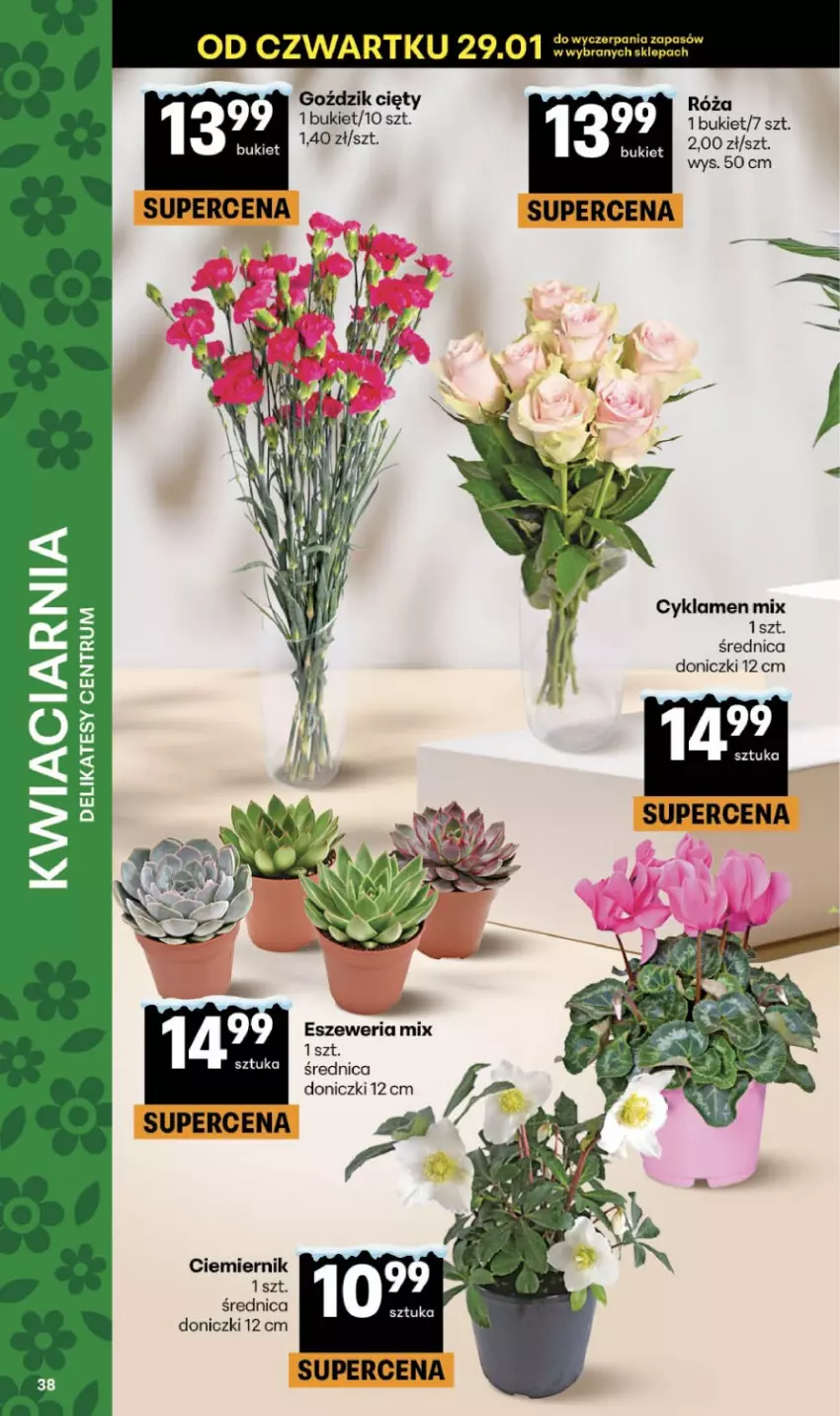 Gazetka promocyjna Delikatesy Centrum - Franczyza DC05 Czwartek - ważna 29.01 do 04.02.2026 - strona 38 - produkty: Bukiet, Cyklamen, Róża