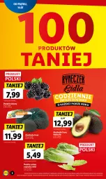 Gazetka promocyjna Lidl - GAZETKA - Gazetka - ważna od 23.07 do 23.07.2023 - strona 2 - produkty: Por, Jeżyny, Sałat