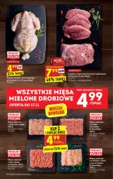 Gazetka promocyjna Biedronka - W tym tygodniu - Gazetka - ważna od 20.11 do 20.11.2021 - strona 19 - produkty: Kurczak, Mięso mielone, Tusz, Kotlet, Mięso, HP, Fa