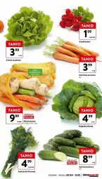 Gazetka promocyjna Intermarche - Gazetka - ważna od 08.05 do 08.05.2024 - strona 17 - produkty: Ogórek, Grunt