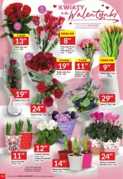 Gazetka promocyjna Twoj Market - Gazetka - ważna od 13.02 do 13.02.2024 - strona 6 - produkty: HiPP, Rum, Tulipan, Prymula, Róża, Wazon, Bukiet, Narcyz
