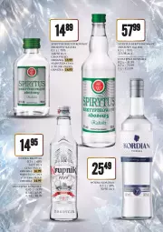 Gazetka promocyjna Dino - Katalog alkoholowy / maj-czerwiec 2026 - Gazetka - ważna od 06.06 do 06.06.2026 - strona 7 - produkty: Wódka, Krupnik