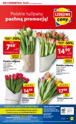 Gazetka promocyjna Lidl - GAZETKA - Gazetka - ważna od 13.03 do 13.03.2021 - strona 53 - produkty: Por, Gry, Tulipan, Tran, Bukiet, Gala