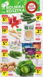 Gazetka promocyjna Intermarche - Gazetka Intermarche - Gazetka - ważna od 11.04 do 11.04.2023 - strona 22 - produkty: Chrzan, Ogórek, Czosnek, Sałat, Natka pietruszki, Fa