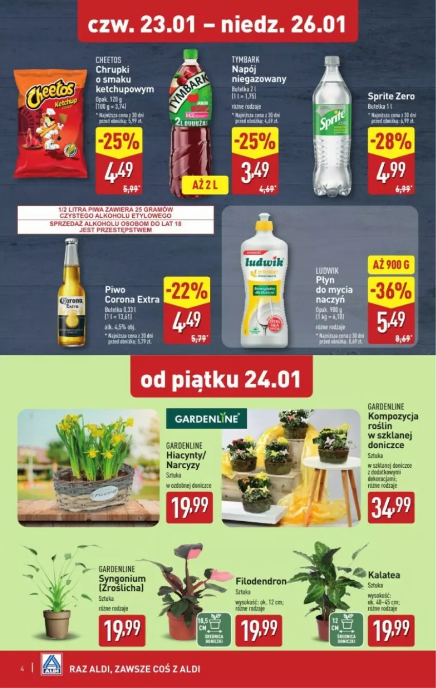 Gazetka promocyjna Aldi - ważna 23.01 do 29.01.2025 - strona 4 - produkty: Cheetos, Corona Extra, Hiacynt, Ketchup, Ludwik, Napój, Napój niegazowany, Narcyz, Piwo, Sok, Tymbark