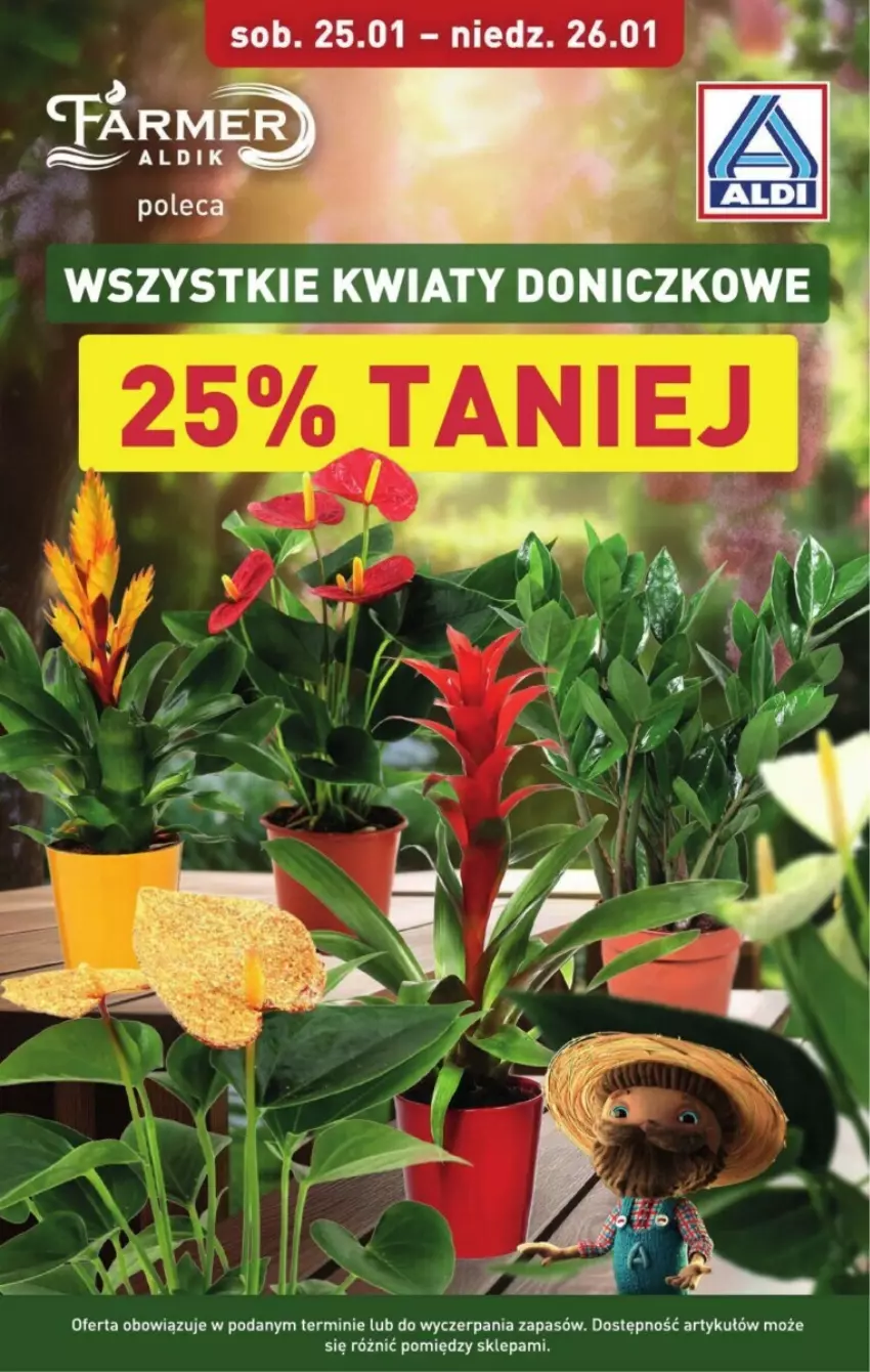 Gazetka promocyjna Aldi - ważna 23.01 do 29.01.2025 - strona 5