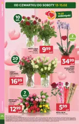 Gazetka promocyjna Stokrotka - Supermarket - Gazetka - ważna od 19.02 do 19.02.2025 - strona 16 - produkty: Tulipan, Róża, Kwiaty cięte, Storczyk, Bukiet