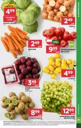 Gazetka promocyjna Stokrotka - Supermarket - Gazetka - ważna od 19.02 do 19.02.2025 - strona 17 - produkty: Cebula, Sałata lodowa, Cytryny, Kiwi, Sałat, Winogrona, Buraki, Wino, Pomidory