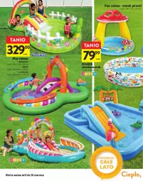 Gazetka promocyjna Intermarche - Gazetka Intermarche - Gazetka - ważna od 28.06 do 28.06.2023 - strona 4 - produkty: Cukier, Brodzik, Ogród