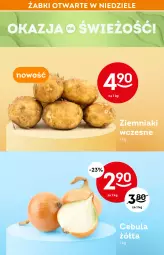 Gazetka promocyjna Żabka - Gazetka - ważna od 14.04 do 14.04.2022 - strona 27 - produkty: Cebula, Warzywa, Ziemniaki