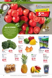 Gazetka promocyjna Makro - [Oferta promocyjna] Artykuły spożywcze i przemysłowe - Gazetka - ważna od 24.01 do 24.01.2022 - strona 2 - produkty: Cebula, Warzywa, Gra, Papryka, Ananas, Kiwi, Sałat, Owoce, Mango, Pomidory
