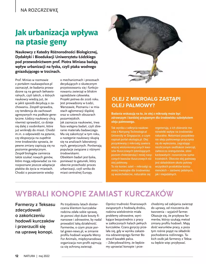 Gazetka promocyjna Drogerie Natura - Gazetka Drogerie Natura - ważna 01.05 do 31.05.2022 - strona 12 - produkty: Fa, Gra, Gres, Kawa, Kosz, Kurczak, LG, Olej, Por, Portal, Pur, Wałek