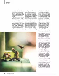 Gazetka promocyjna Drogerie Natura - Gazetka Drogerie Natura - Gazetka - ważna od 31.05 do 31.05.2022 - strona 22 - produkty: Piec, Top, Por, Gin, Portal, Miód, Gres, Olej, Nektar, Fa