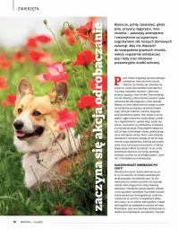 Gazetka promocyjna Drogerie Natura - Gazetka Drogerie Natura - Gazetka - ważna od 31.05 do 31.05.2022 - strona 70 - produkty: Piec, Por, Koc, Gra, Kret, Robot, Wagi, Olej, Mięta, Zwierzęta