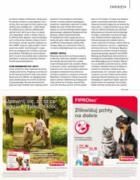 Gazetka promocyjna Drogerie Natura - Gazetka Drogerie Natura - Gazetka - ważna od 31.05 do 31.05.2022 - strona 71 - produkty: Piec, Top, Por, Koc, Gry, Inka, Tablet, Kosz, Tera, LEGO, Szampon, Zwierzęta, Fa