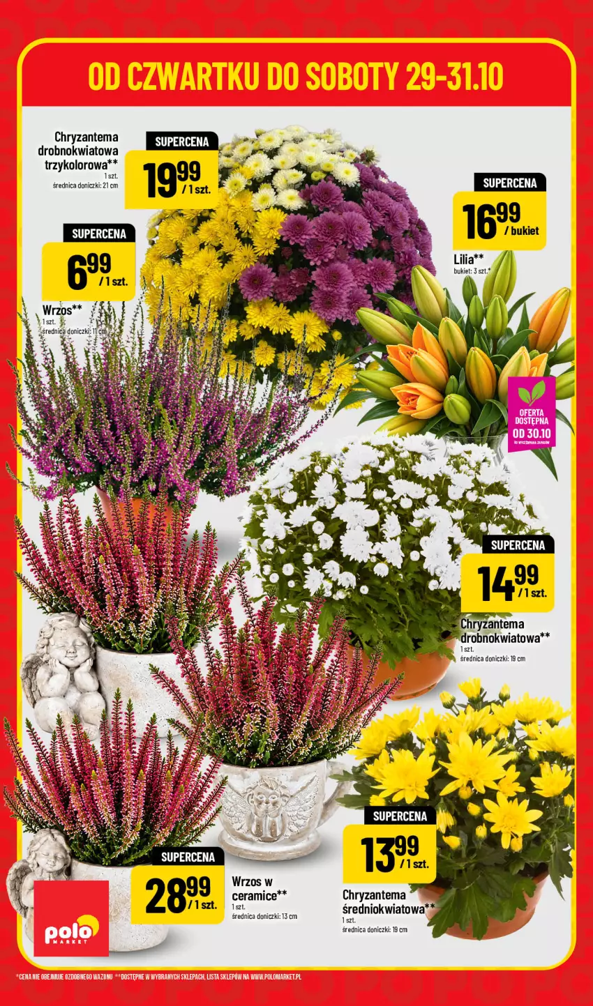 Gazetka promocyjna PoloMarket - Katalog Superhity - ważna 29.10 do 31.10.2026 - strona 6 - produkty: Bukiet, Chryzantema