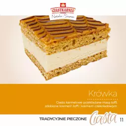 Gazetka promocyjna Topaz - Gazetka - Gazetka - ważna od 29.08 do 29.08.2026 - strona 11 - produkty: Piec