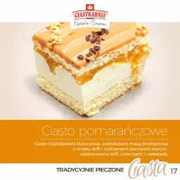 Gazetka promocyjna Topaz - Gazetka - Gazetka - ważna od 29.08 do 29.08.2026 - strona 17 - produkty: Piec