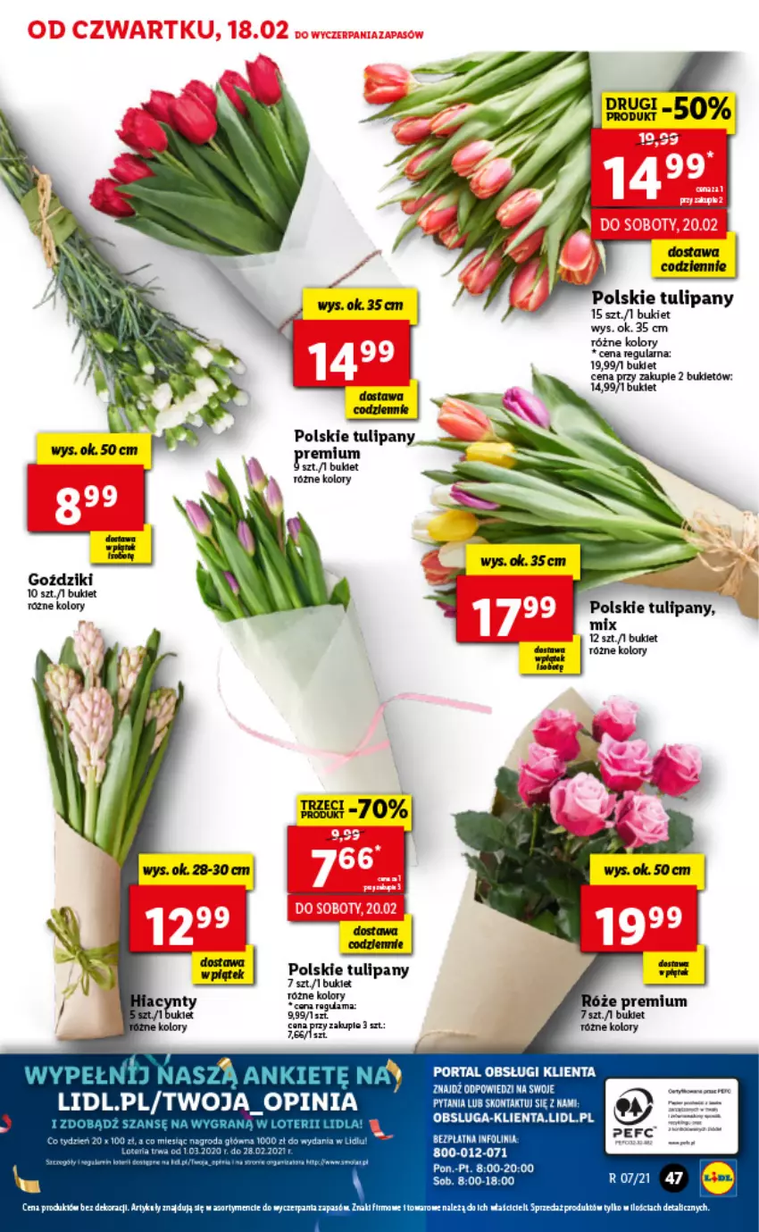 Gazetka promocyjna Lidl - GAZETKA - ważna 18.02 do 20.02.2021 - strona 47 - produkty: Bukiet, Tulipan