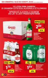 Gazetka promocyjna Lidl - GAZETKA - Gazetka - ważna od 20.02 do 20.02.2021 - strona 30 - produkty: Koc, Okocim