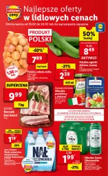 Gazetka promocyjna Lidl - GAZETKA - Gazetka - ważna od 20.02 do 20.02.2021 - strona 48 - produkty: Cebula, Nałęczowianka, Por, Koc, Gra, Woda mineralna, Woda, Okocim, Pomidory