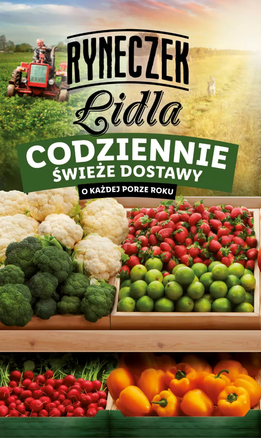 Gazetka promocyjna Lidl - GAZETKA - ważna 09.02 do 11.02.2023 - strona 2 - produkty: Por