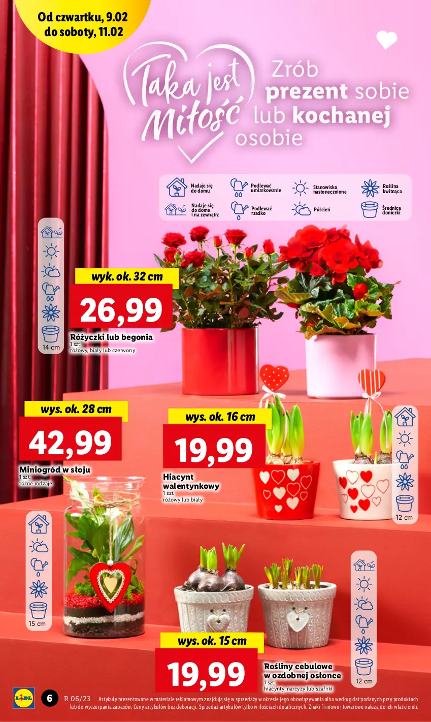 Gazetka promocyjna Lidl - GAZETKA - ważna 09.02 do 11.02.2023 - strona 8 - produkty: Cień, Hiacynt, Koc, Narcyz, O nas, Ogród