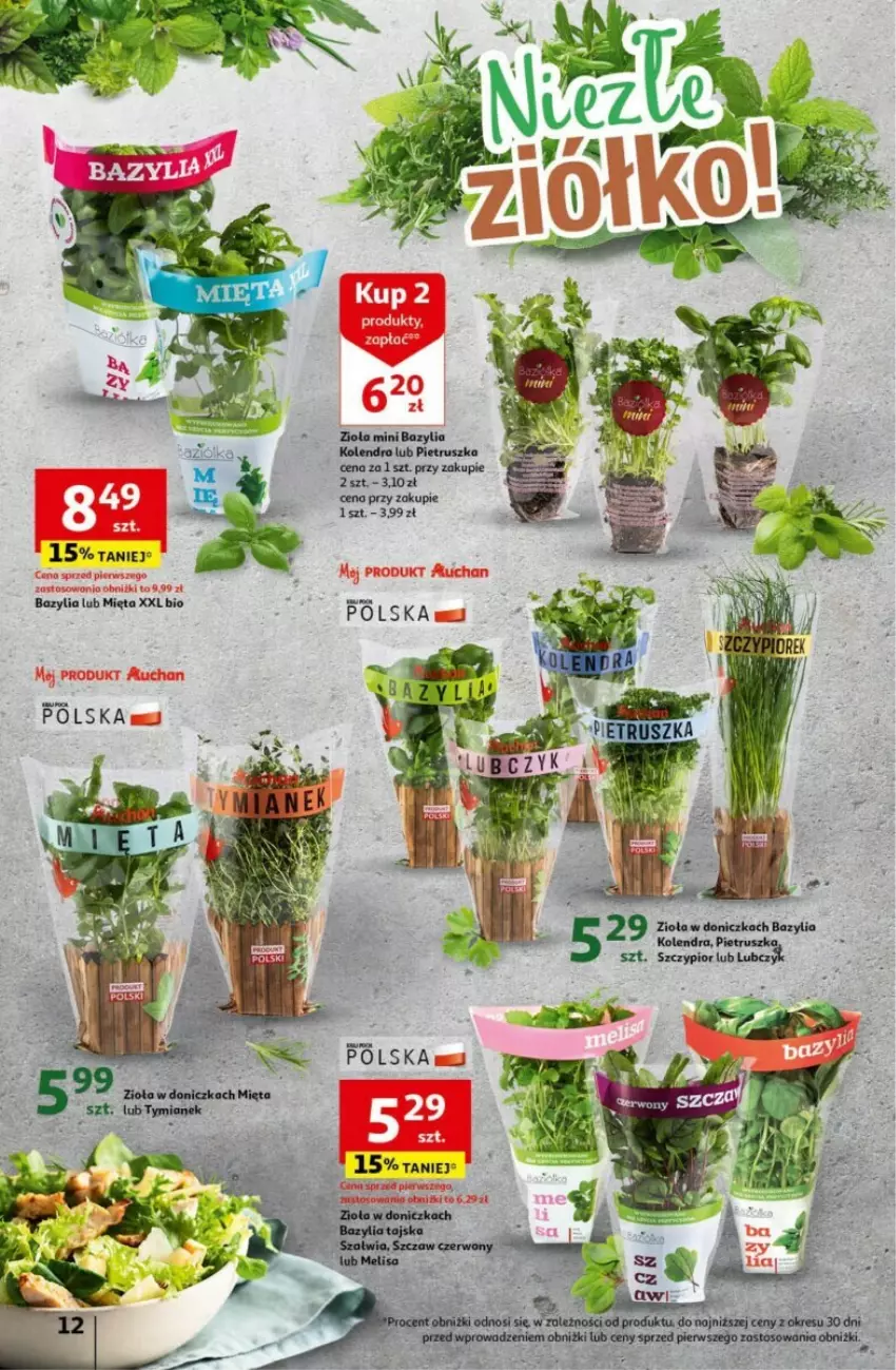 Gazetka promocyjna Auchan - ważna 18.04 do 24.04.2024 - strona 4 - produkty: Bazyl, Bazylia, Kolendra, Mięta