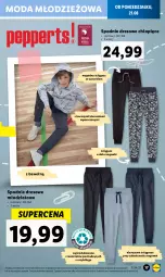 Gazetka promocyjna Lidl - GAZETKA - Gazetka - ważna od 27.08 do 27.08.2023 - strona 17 - produkty: Dres, Moda, Spodnie, Spodnie dresowe