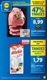 Gazetka promocyjna Lidl - GAZETKA - Gazetka - ważna od 26.10 do 26.10.2024 - strona 11 - produkty: Pilos, Mleko