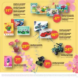 Gazetka promocyjna Stokrotka - Dzień matki i dziecka - Gazetka - ważna od 04.06 do 04.06.2025 - strona 17 - produkty: Warzywa, Amol, Pojazd, Bukiet, Owoce, Sukulent, Mięso, Zwierzęta, Samolot