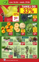 Gazetka promocyjna Aldi - Pełna oferta - Gazetka - ważna od 29.06 do 29.06.2025 - strona 28 - produkty: Sok, Hibiskus, Jeżyny, Tera, Sałat, Gruszki, Melon, Miecz