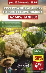 Gazetka promocyjna Aldi - Pełna oferta - Gazetka - ważna od 29.06 do 29.06.2025 - strona 4 - produkty: Kalafior