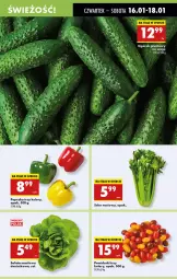 Gazetka promocyjna Biedronka - Od Czwartku - Gazetka - ważna od 22.01 do 22.01.2025 - strona 25 - produkty: Sałata masłowa, Papryka, Pomidorki, Sałat, Seler naciowy, Masło