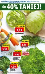 Gazetka promocyjna Lidl - GAZETKA - Gazetka - ważna od 20.03 do 20.03.2022 - strona 7 - produkty: Sałata lodowa, Włoszczyzna pęczek, Sałat, Natka pietruszki