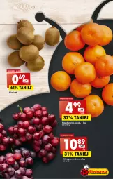 Gazetka promocyjna Biedronka - Gazetka - ważna od 22.02 do 22.02.2023 - strona 15 - produkty: Mandarynki, Kiwi, Wino