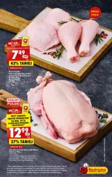 Gazetka promocyjna Biedronka - Gazetka - ważna od 22.02 do 22.02.2023 - strona 19 - produkty: AEG