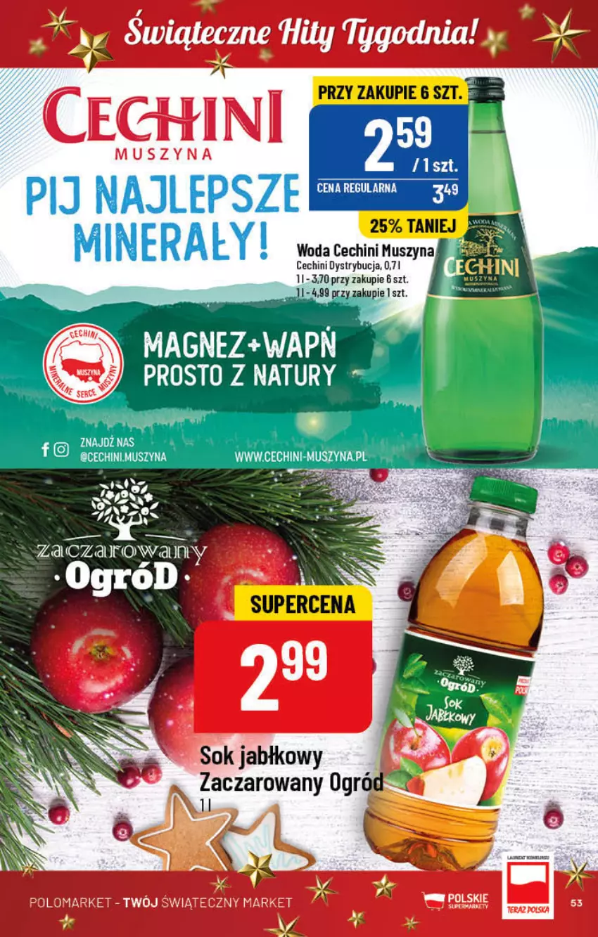 Gazetka promocyjna PoloMarket - Gazetka pomocyjna - ważna 14.12 do 20.12.2022 - strona 53 - produkty: Magnez, Ogród