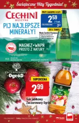 Gazetka promocyjna PoloMarket - Gazetka pomocyjna - Gazetka - ważna od 20.12 do 20.12.2022 - strona 53 - produkty: Ogród, Magnez