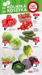 Gazetka promocyjna Intermarche - Gazetka - ważna od 06.03 do 06.03.2024 - strona 14 - produkty: Kalafior, Sałata lodowa, Ogórek, Sałat, Pomidor malinowy