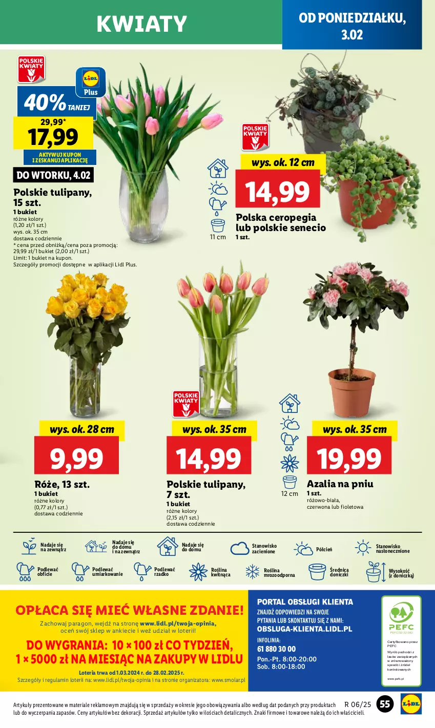 Gazetka promocyjna Lidl - GAZETKA - ważna 03.02 do 05.02.2025 - strona 59 - produkty: Bukiet, Cień, Gra, Mola, O nas, Por, Sok, Tulipan