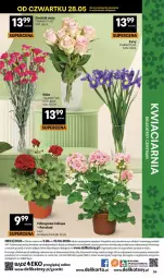 Gazetka promocyjna Delikatesy Centrum - Franczyza DC23 Czwartek - Gazetka - ważna od 10.06 do 10.06.2026 - strona 54 - produkty: Gra, Róża, Bukiet, Mobil
