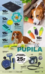 Gazetka promocyjna Netto - Od Czwartku Przemysłowa - Gazetka - ważna od 30.04 do 30.04.2025 - strona 11 - produkty: Gry, Zabawka, Smycz, Dozownik