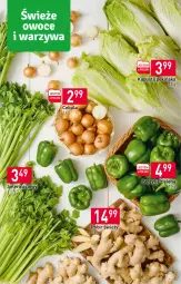Gazetka promocyjna Stokrotka - Supermarket - Gazetka - ważna od 12.10 do 12.10.2022 - strona 3 - produkty: Cebula, Papryka, Seler naciowy, Imbir